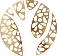 Клиника косметологии Вале-Эстетика логотип